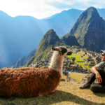 Facts About Machu Picchu That Will Surprise You - What is the natural environment around Machu Picchu